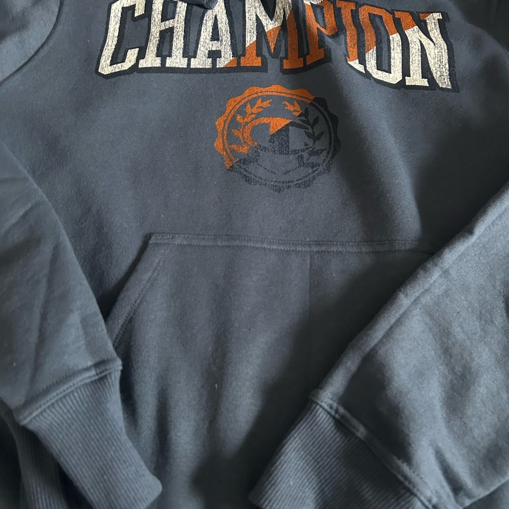 Champion Men's Black Sweater